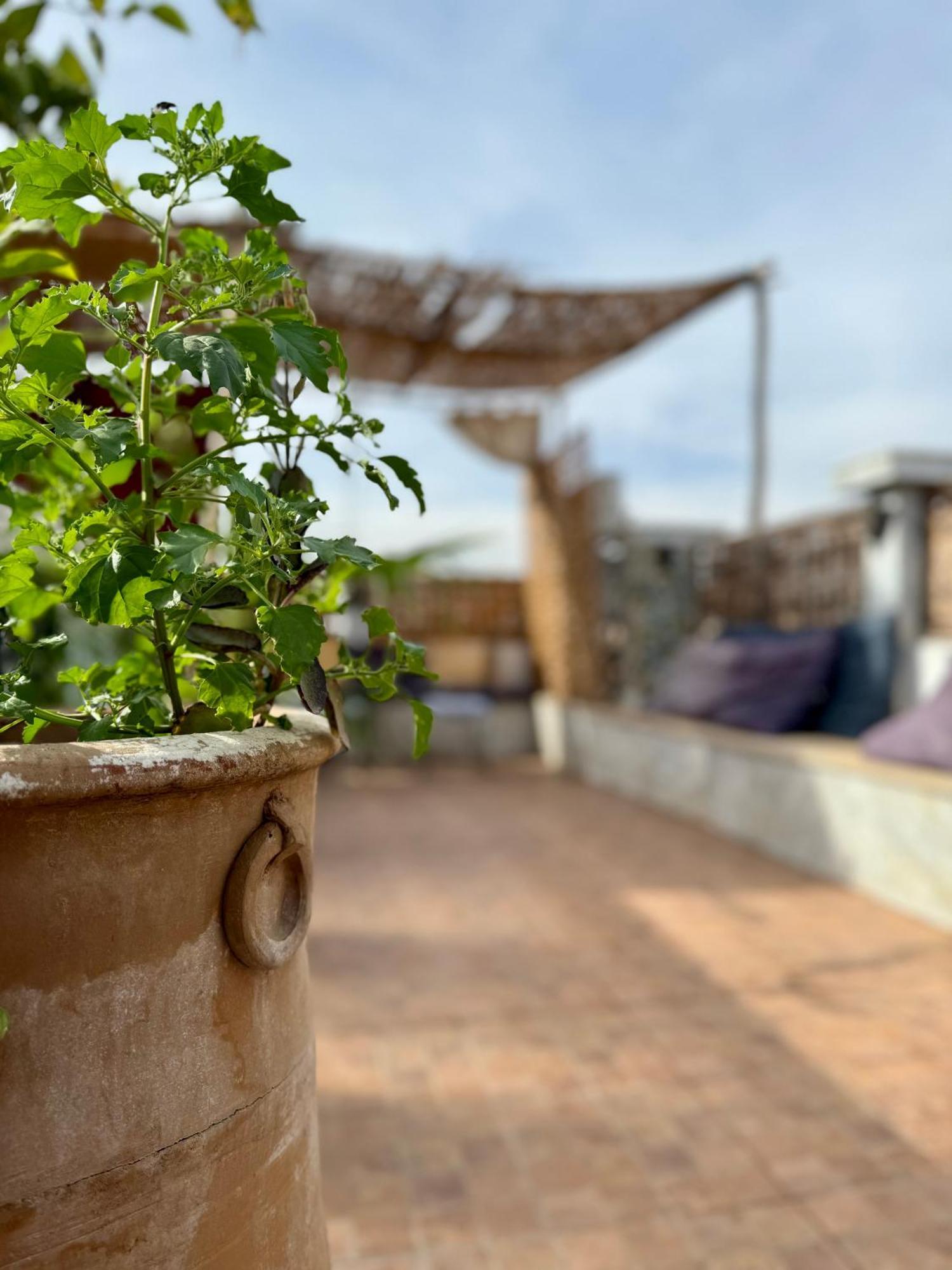Riad Flottement Des Songes Marakéš Exteriér fotografie